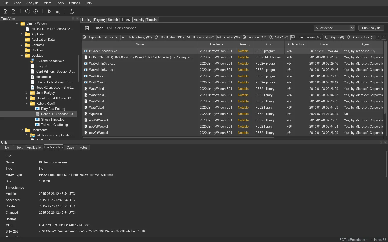 TRACE: triage view. What stands out across the whole case: executables and their signers, hidden data, photos, authors.